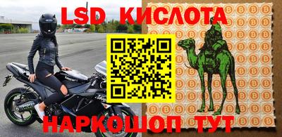 винт Кимры