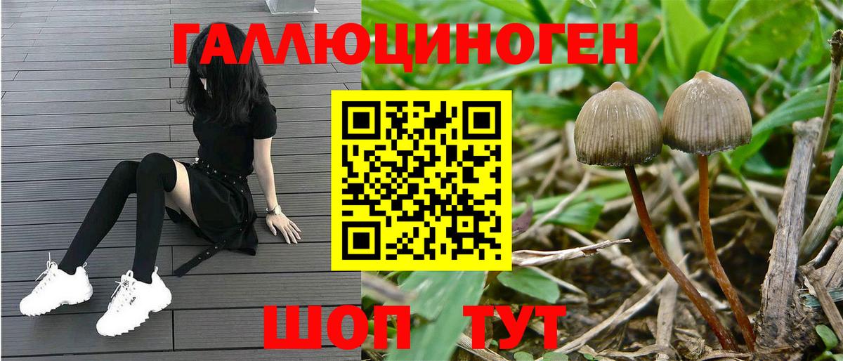 Псилоцибиновые грибы мицелий Балашов