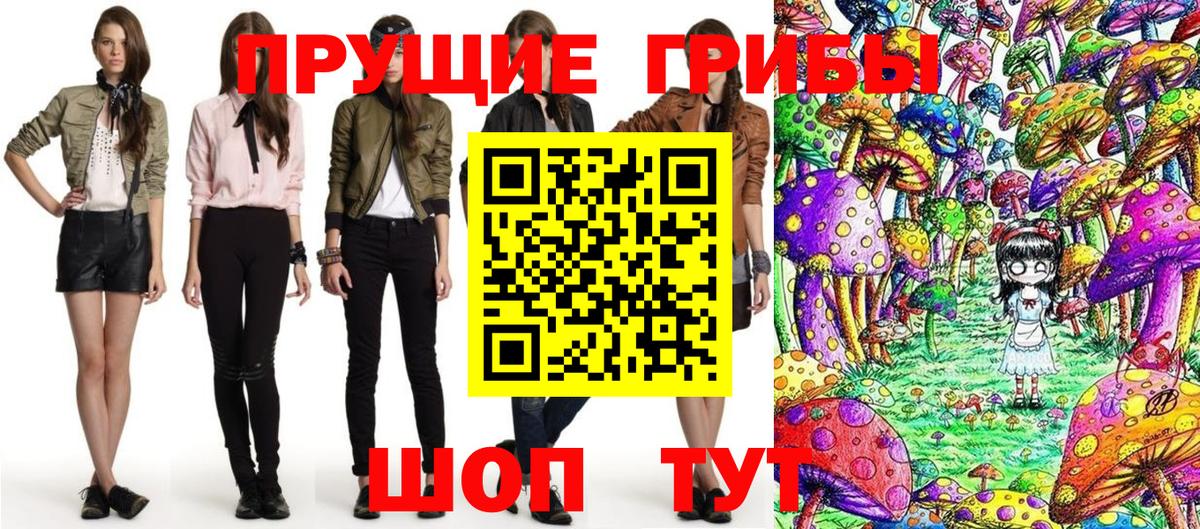 Псилоцибиновые грибы Psilocybe  Вход с VPN  что такое наркотик  Балашов 